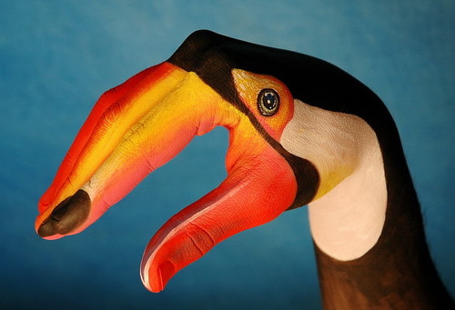 Hand Painted Toucan