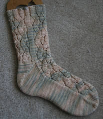 Serpentne sock 110507