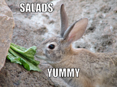Salads - yummy