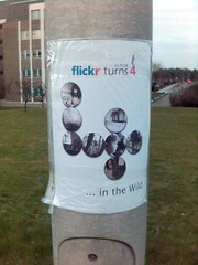 Flickr turns 4 in the wild - Lamp post