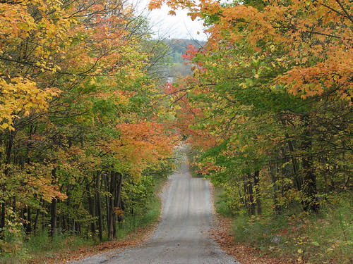 Fall on the backroads