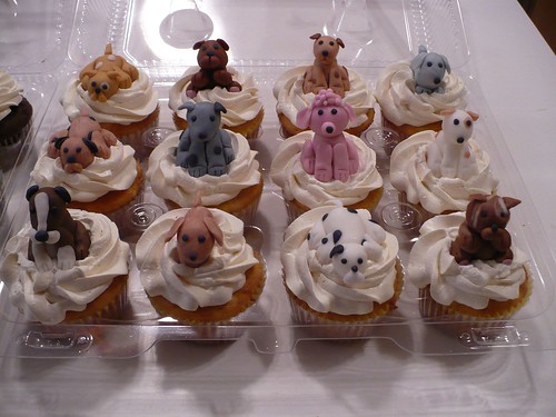Puppy dog cupcakes!