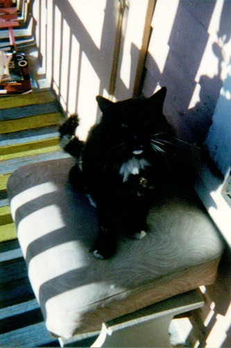 raoul, front porch, 1998