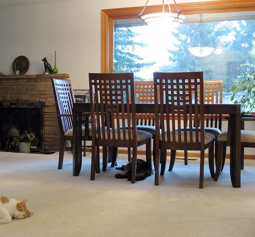 New dining room table. With cats.