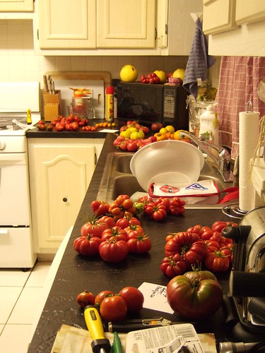15 lbs of tomatoes in my kitchen.