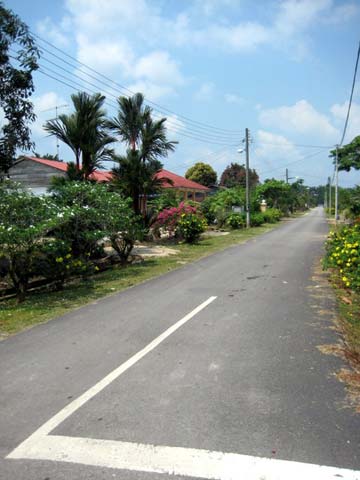 Suanie's grandfather's road