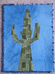 sajuaro cactus