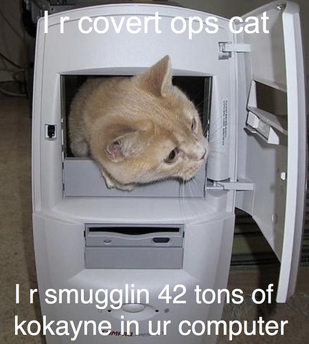 covertcat-in-computer_1