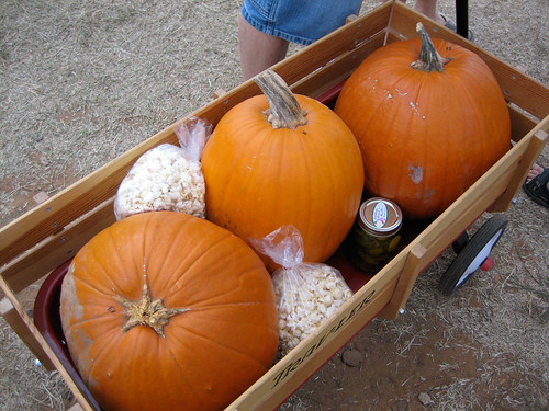 Pumpkins in a Wagon