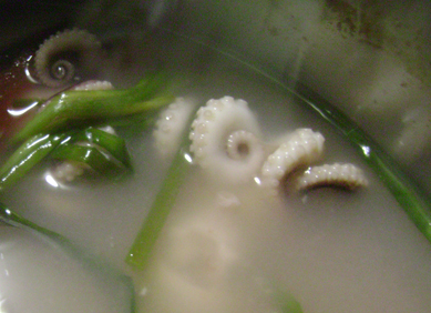 octopi soup