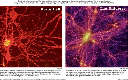 Thumb A Neuron and the Universe can look-alike
