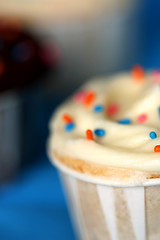 simple vanilla/vanilla cupcake