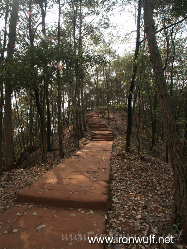 The Trail to Leshan's Giant Buddha