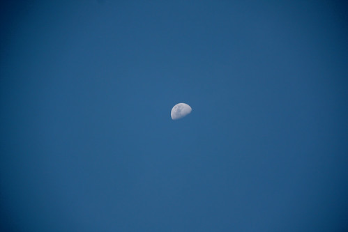 The moon~