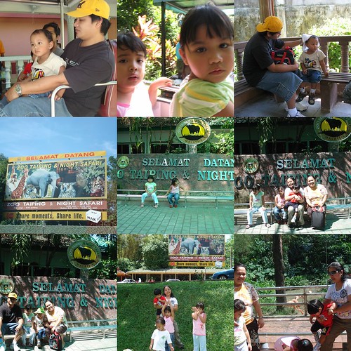 Taiping Zoo moments