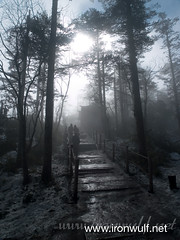 Foggy trail at Emeishan