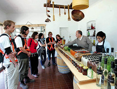 Mendoza lidera la ruta del vino del país