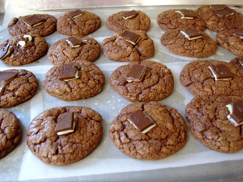 chocolate mint cookies in preparation