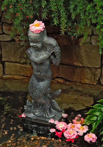 Missouri Botanical Gardens, in Saint Louis, Missouri - fountain statue in Linnaean House with camellias