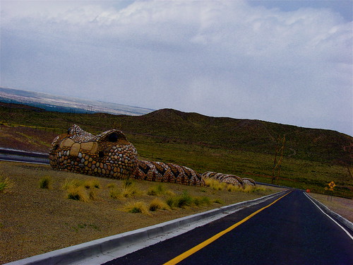 Giant Snake in Mesa Del Sol