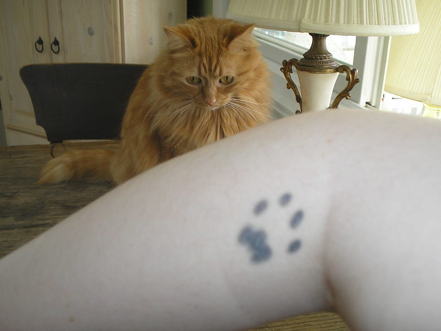 Memorial paw tattoo. I got this as a memorial for my childhood pet, 