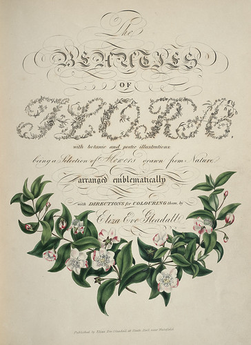 Floral typography titlepage 1834