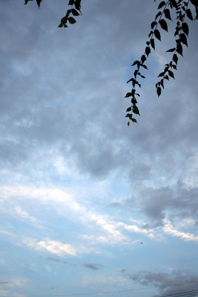 Ciel bleu et nuages gris