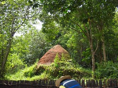 Mangrove tour charcoal mound