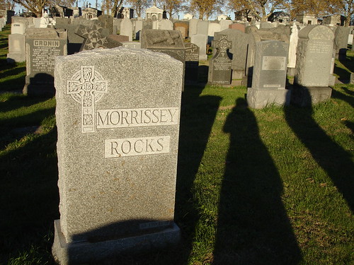 Morrissey Rocks