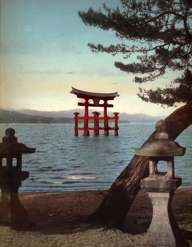 THE GREAT TORII AT MIYAJIMA -- A Classic Scene in Old (and New) Japan