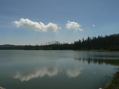 Ooty Lake, Ooty