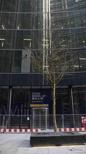 Willis facade