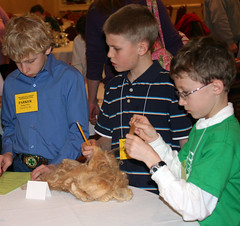 Junior boys answer questions about wool samples.