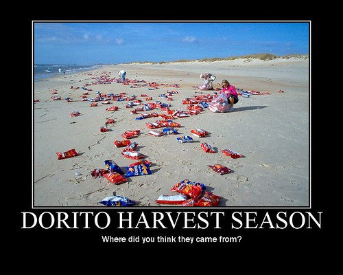 Dorito-Harvest-Season