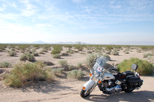 Blanquita en Mojave