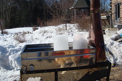 Ready to boil (frozen) sap
