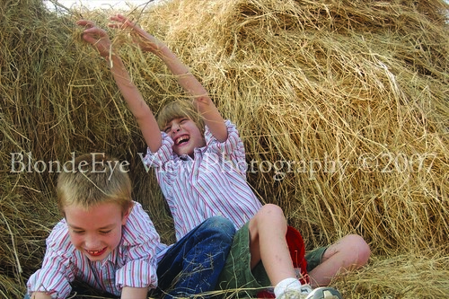 throwing hay