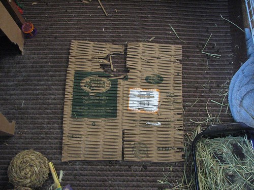 cardboard packing material