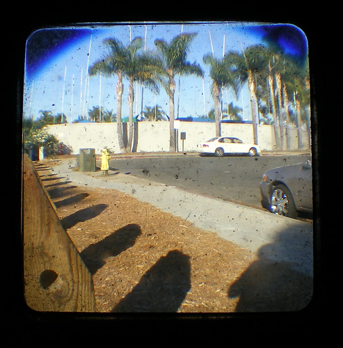 Parked under the Palms
