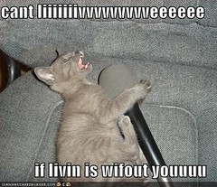 funny-pictures-karaoke-cat