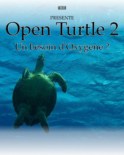 Open turle 2
