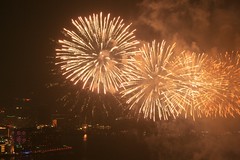 2008 Lunar New Year Fireworks in Hong Kong
