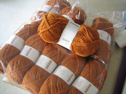 080302. pumpkin. wool of the andes.