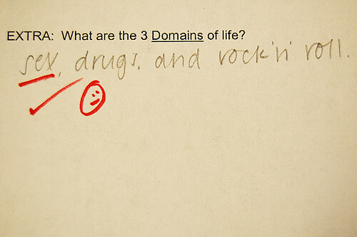 funny homework answers. Well, I thought it was funny.