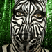 Zebra Facepainting Mini Movie por hawhawjames