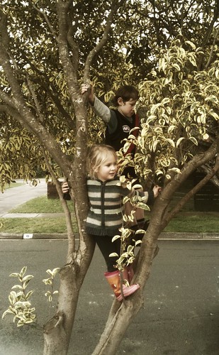 Zoe and Otis in the tree