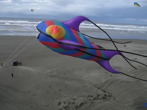 Kites Kites