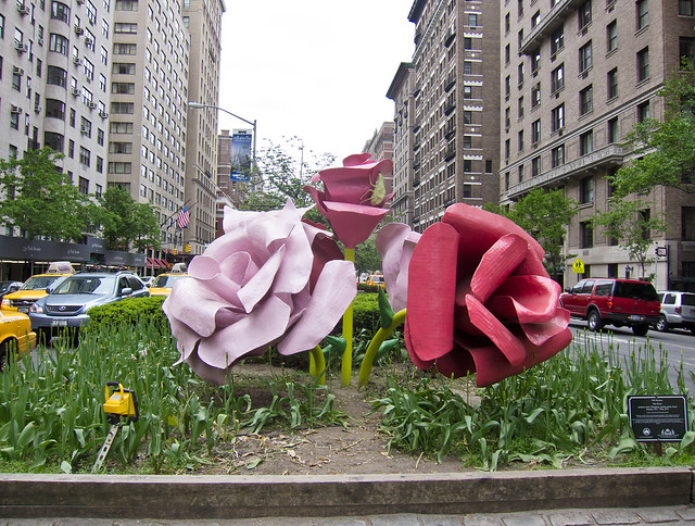 Roses on Park Avenue