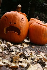 sad pumpkins