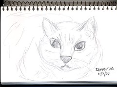 Drawing of my cat Sammy